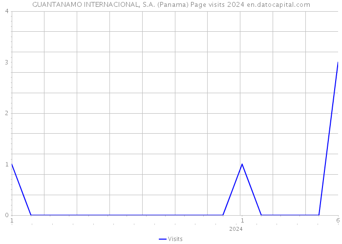 GUANTANAMO INTERNACIONAL, S.A. (Panama) Page visits 2024 