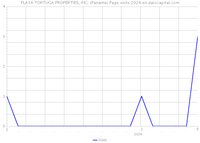 PLAYA TORTUGA PROPERTIES, INC. (Panama) Page visits 2024 