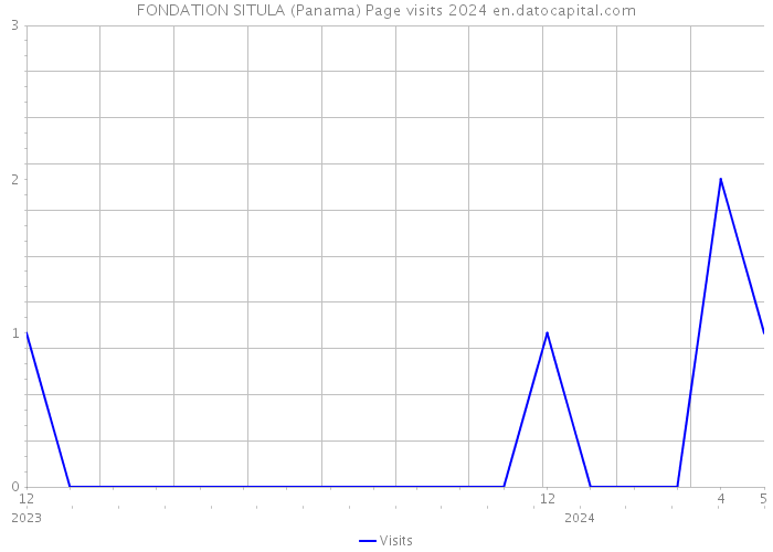 FONDATION SITULA (Panama) Page visits 2024 