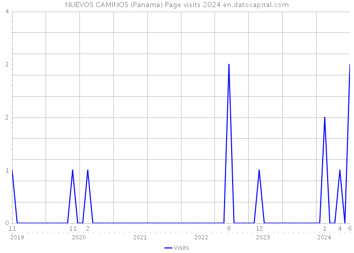 NUEVOS CAMINOS (Panama) Page visits 2024 