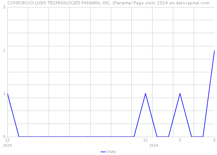 CONSORCIO LUSIS TECHNOLOGIES PANAMA, INC. (Panama) Page visits 2024 