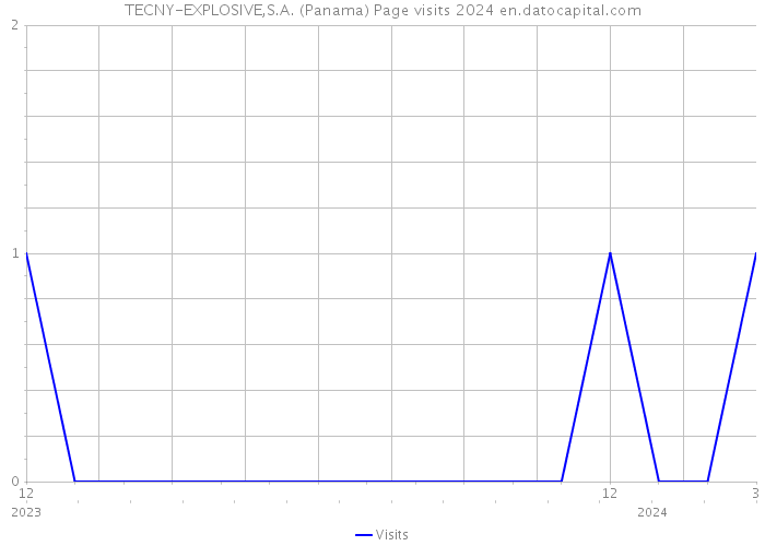 TECNY-EXPLOSIVE,S.A. (Panama) Page visits 2024 