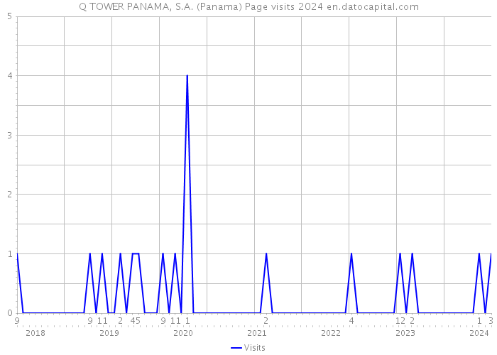 Q TOWER PANAMA, S.A. (Panama) Page visits 2024 