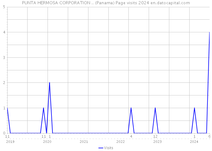 PUNTA HERMOSA CORPORATION .. (Panama) Page visits 2024 