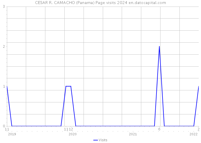CESAR R. CAMACHO (Panama) Page visits 2024 