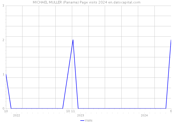 MICHAEL MULLER (Panama) Page visits 2024 