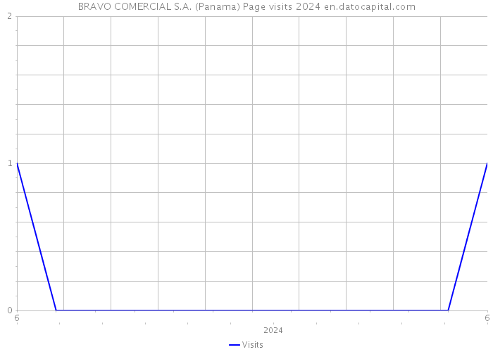 BRAVO COMERCIAL S.A. (Panama) Page visits 2024 