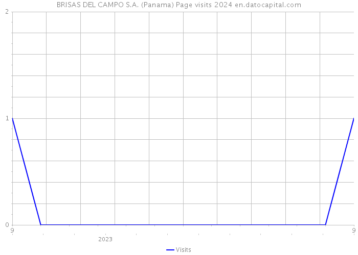 BRISAS DEL CAMPO S.A. (Panama) Page visits 2024 