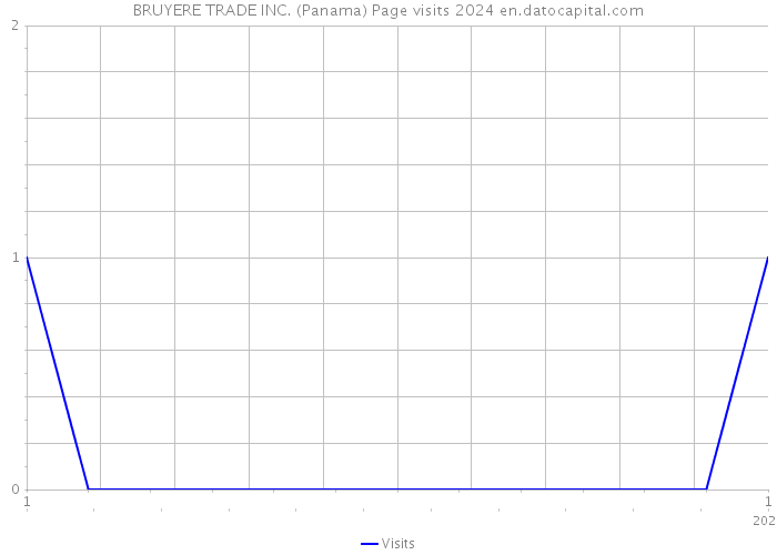 BRUYERE TRADE INC. (Panama) Page visits 2024 