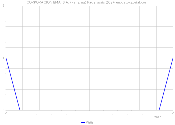 CORPORACION BMA, S.A. (Panama) Page visits 2024 