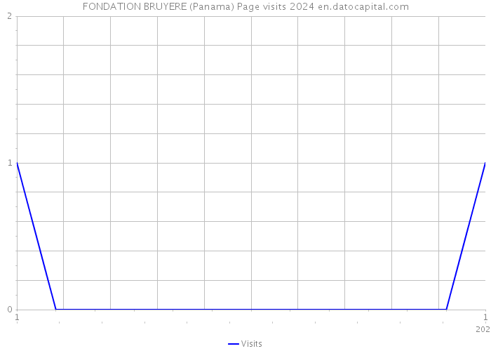 FONDATION BRUYERE (Panama) Page visits 2024 