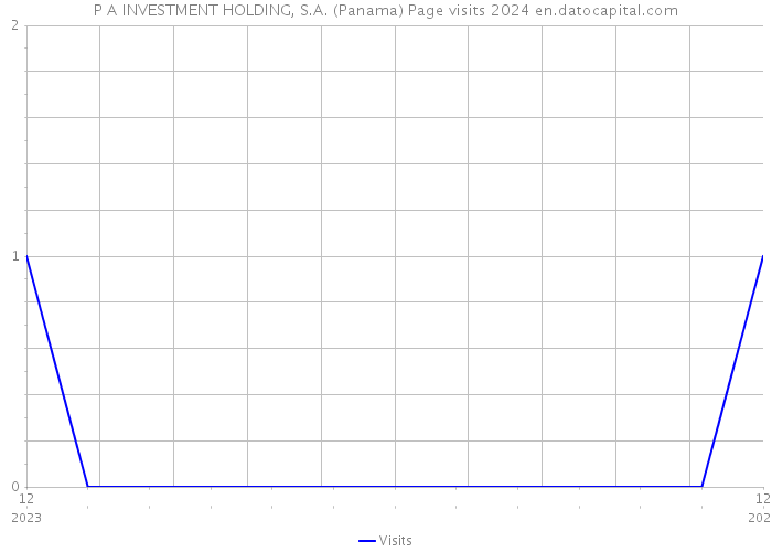 P A INVESTMENT HOLDING, S.A. (Panama) Page visits 2024 