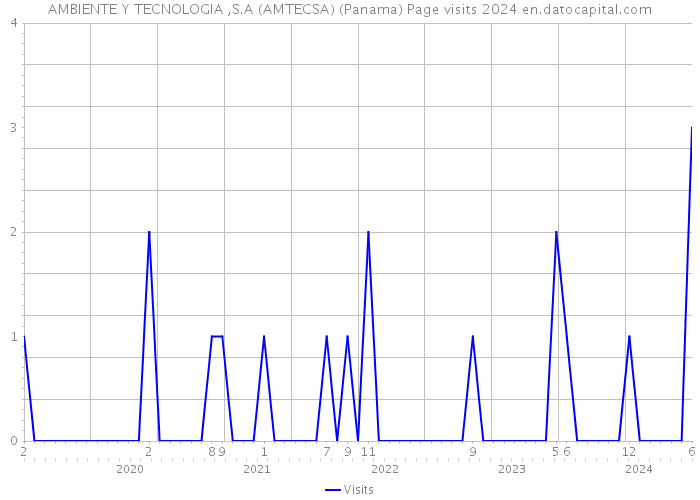 AMBIENTE Y TECNOLOGIA ,S.A (AMTECSA) (Panama) Page visits 2024 