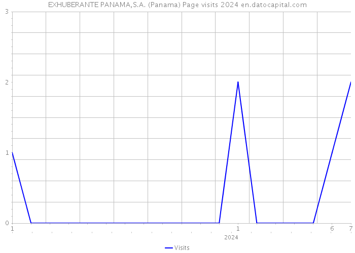EXHUBERANTE PANAMA,S.A. (Panama) Page visits 2024 