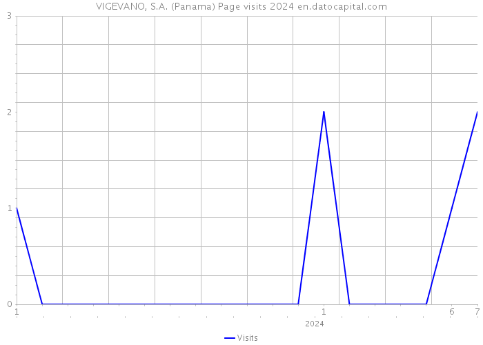 VIGEVANO, S.A. (Panama) Page visits 2024 