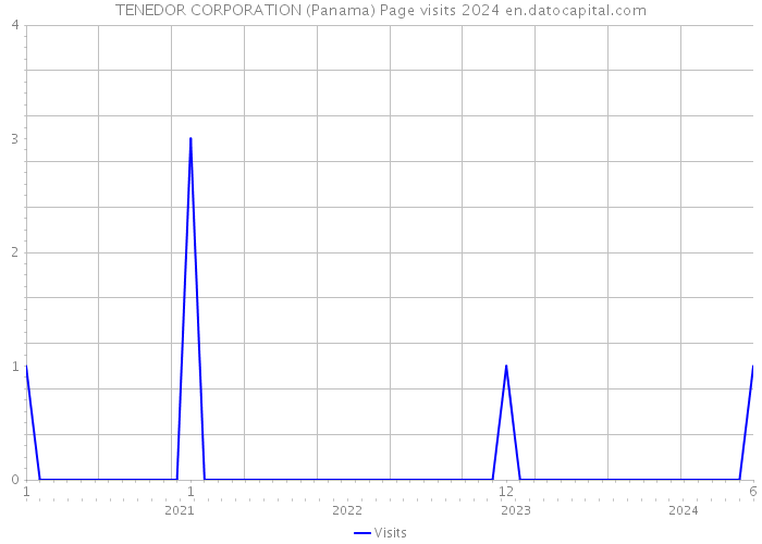 TENEDOR CORPORATION (Panama) Page visits 2024 