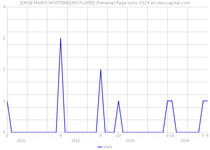 JORGE MARIO MONTENEGRO FLORES (Panama) Page visits 2024 