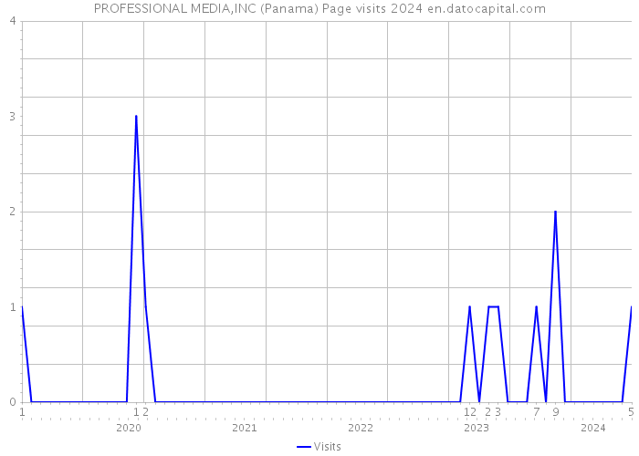 PROFESSIONAL MEDIA,INC (Panama) Page visits 2024 