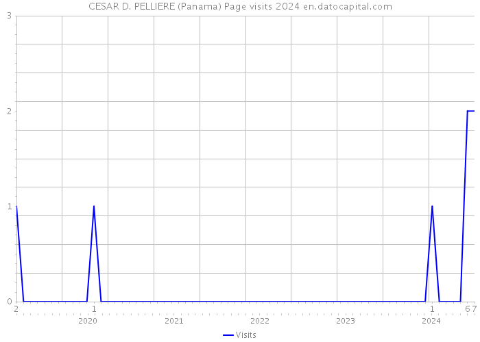 CESAR D. PELLIERE (Panama) Page visits 2024 