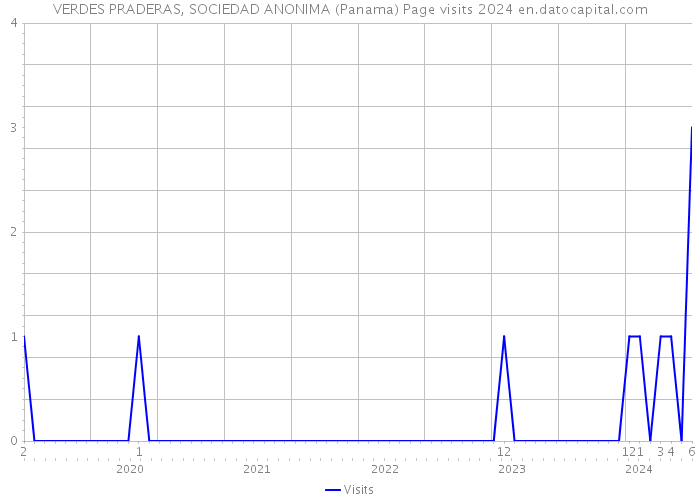 VERDES PRADERAS, SOCIEDAD ANONIMA (Panama) Page visits 2024 