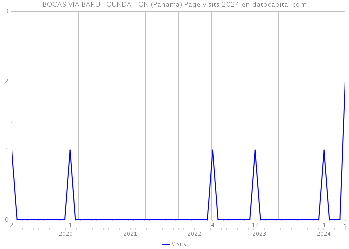 BOCAS VIA BARU FOUNDATION (Panama) Page visits 2024 
