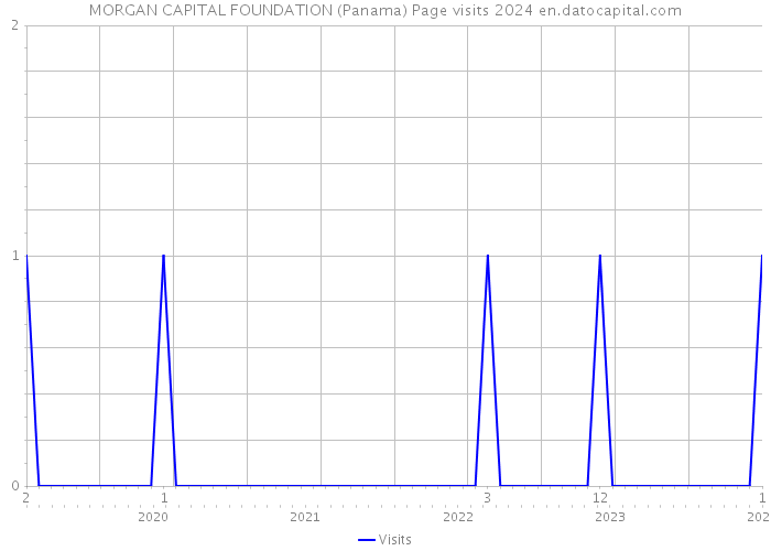 MORGAN CAPITAL FOUNDATION (Panama) Page visits 2024 