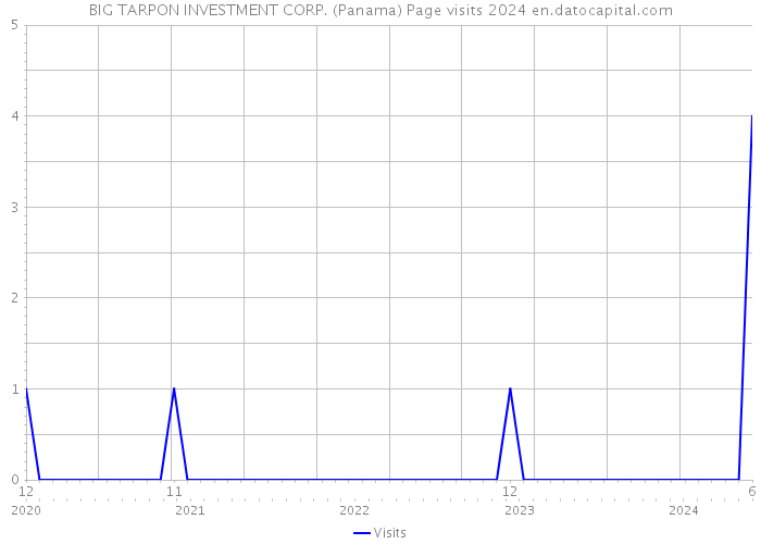 BIG TARPON INVESTMENT CORP. (Panama) Page visits 2024 