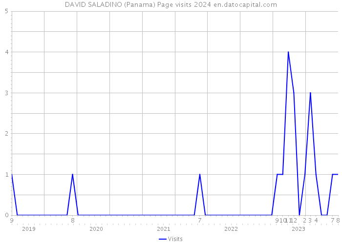 DAVID SALADINO (Panama) Page visits 2024 