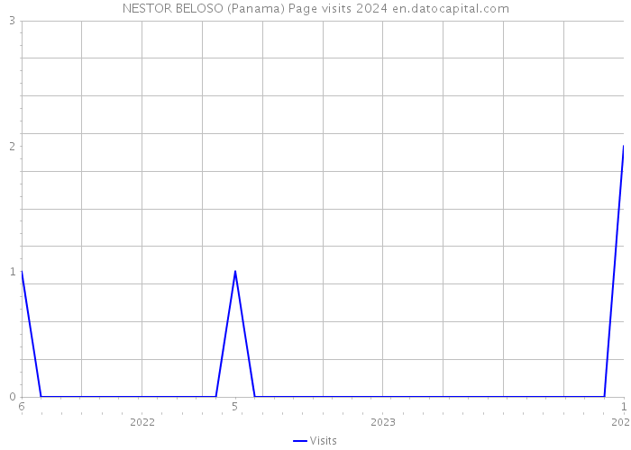 NESTOR BELOSO (Panama) Page visits 2024 