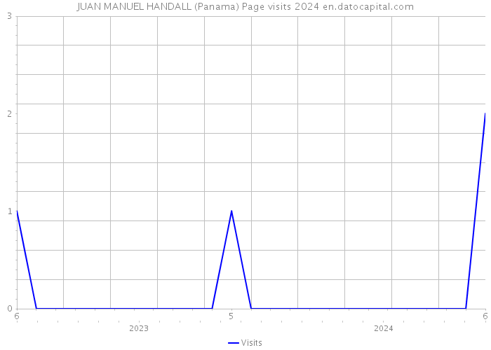JUAN MANUEL HANDALL (Panama) Page visits 2024 
