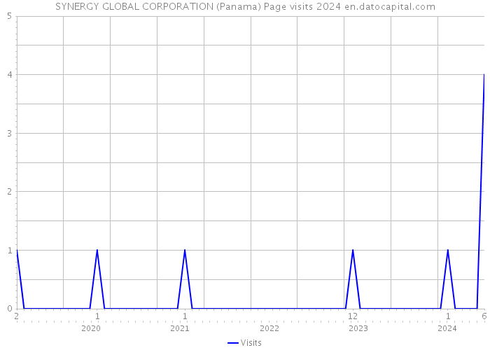 SYNERGY GLOBAL CORPORATION (Panama) Page visits 2024 