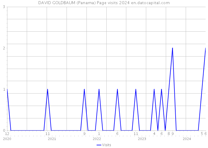 DAVID GOLDBAUM (Panama) Page visits 2024 