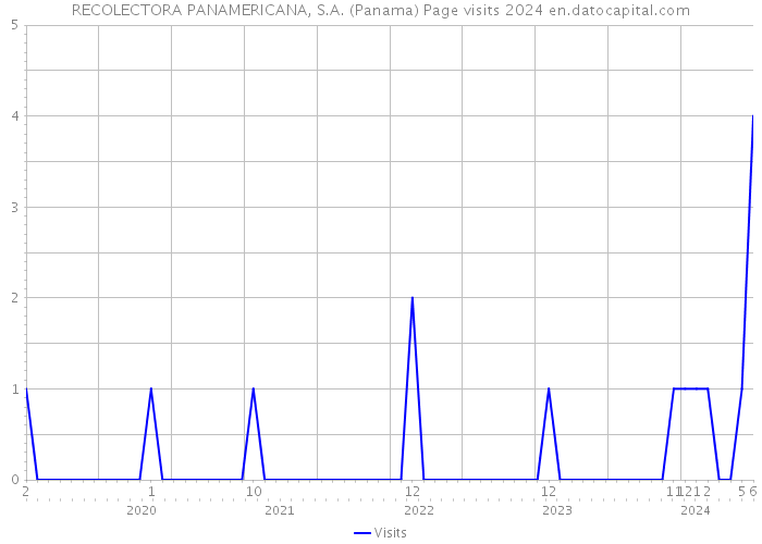 RECOLECTORA PANAMERICANA, S.A. (Panama) Page visits 2024 