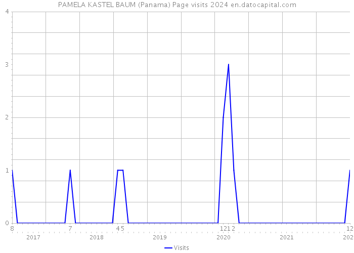 PAMELA KASTEL BAUM (Panama) Page visits 2024 
