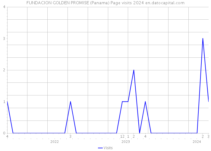 FUNDACION GOLDEN PROMISE (Panama) Page visits 2024 
