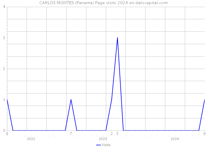CARLOS MONTES (Panama) Page visits 2024 