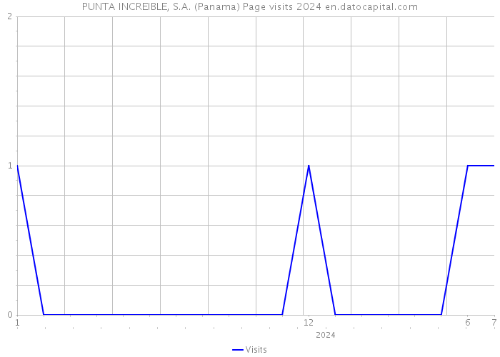 PUNTA INCREIBLE, S.A. (Panama) Page visits 2024 