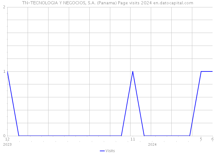 TN-TECNOLOGIA Y NEGOCIOS, S.A. (Panama) Page visits 2024 
