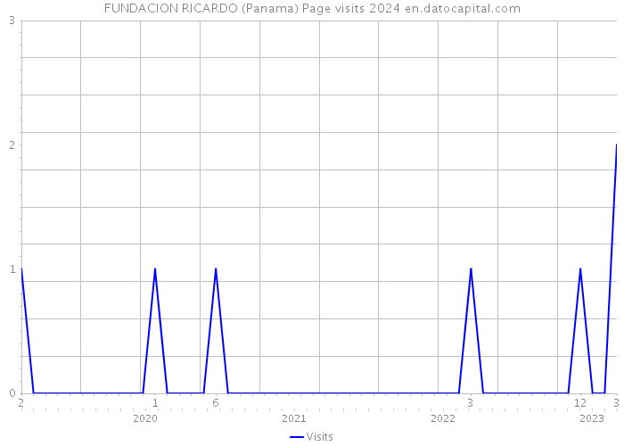 FUNDACION RICARDO (Panama) Page visits 2024 