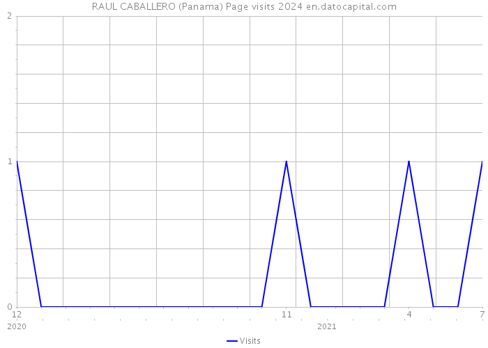 RAUL CABALLERO (Panama) Page visits 2024 