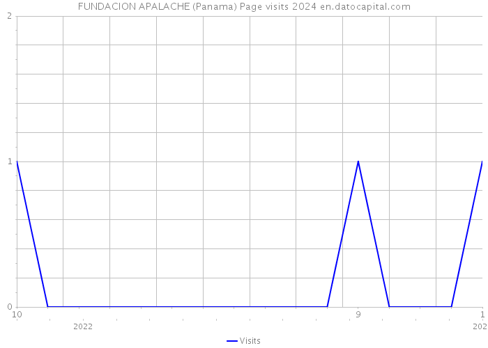 FUNDACION APALACHE (Panama) Page visits 2024 