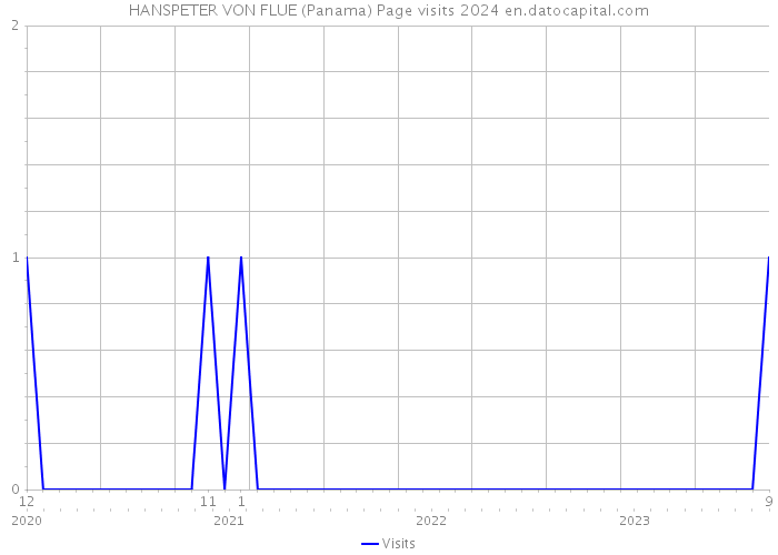 HANSPETER VON FLUE (Panama) Page visits 2024 