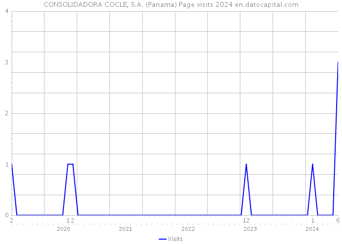 CONSOLIDADORA COCLE, S.A. (Panama) Page visits 2024 