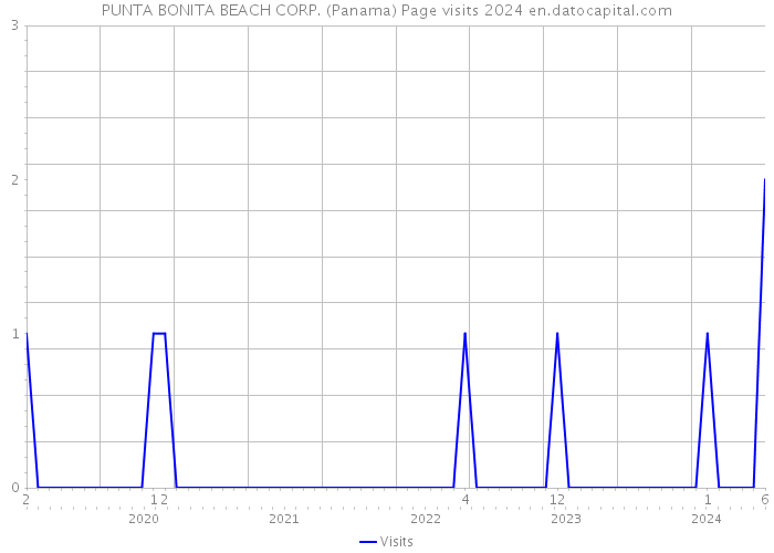 PUNTA BONITA BEACH CORP. (Panama) Page visits 2024 