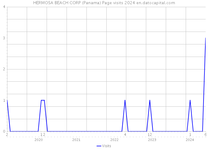 HERMOSA BEACH CORP (Panama) Page visits 2024 