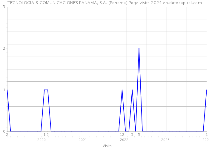 TECNOLOGIA & COMUNICACIONES PANAMA, S.A. (Panama) Page visits 2024 