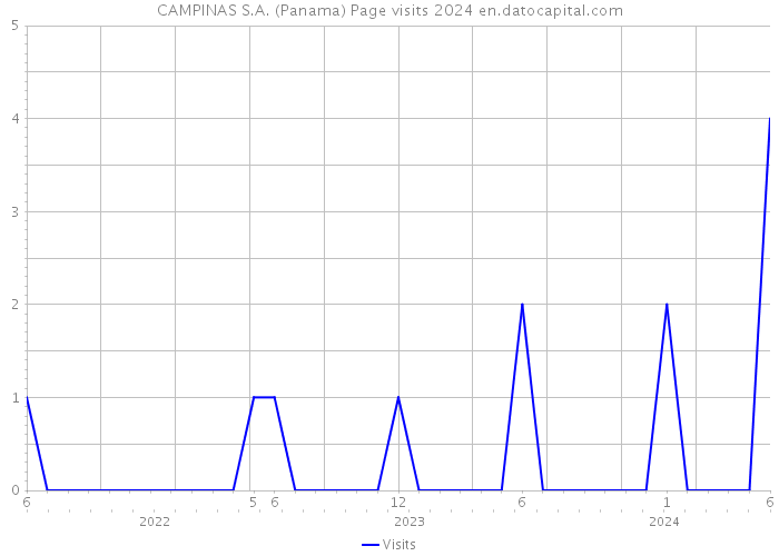 CAMPINAS S.A. (Panama) Page visits 2024 