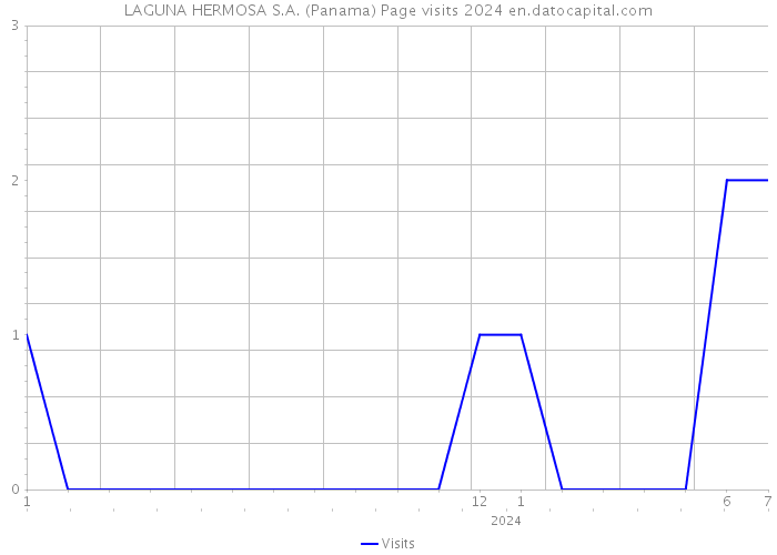 LAGUNA HERMOSA S.A. (Panama) Page visits 2024 