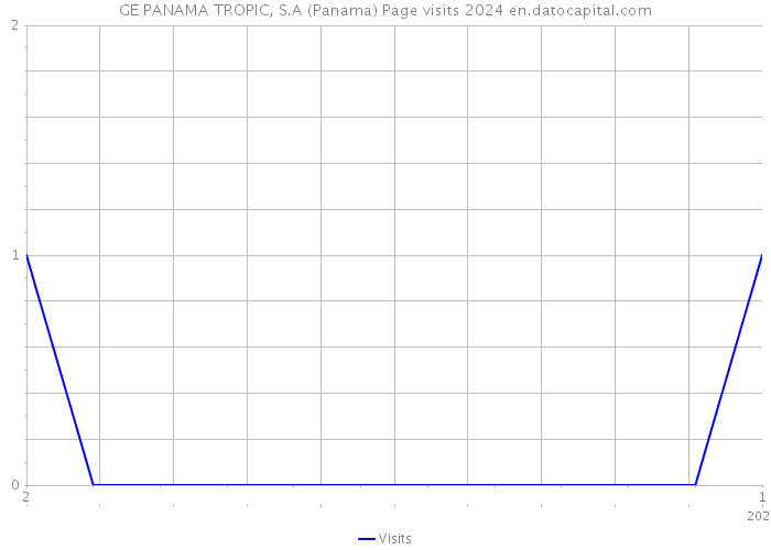 GE PANAMA TROPIC, S.A (Panama) Page visits 2024 