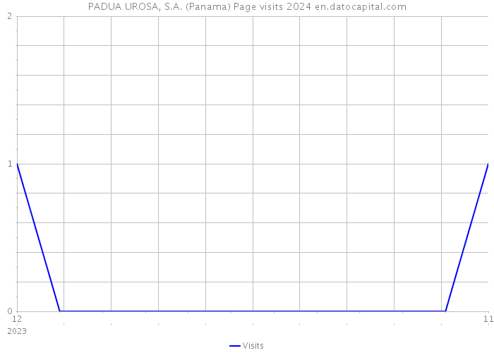 PADUA UROSA, S.A. (Panama) Page visits 2024 